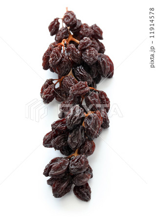 枝付き干しブドウ 枝付き干しブドウ 11914578