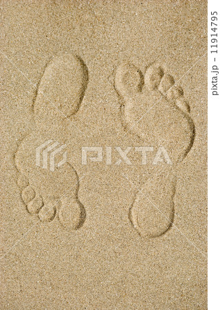 Traces on sand 11914795