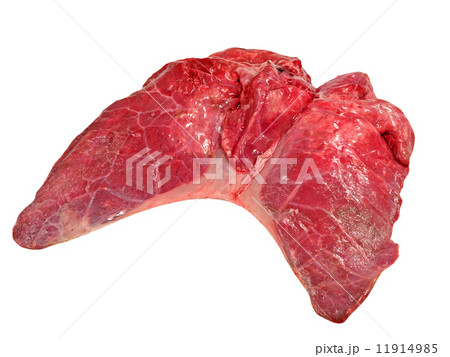 Pig lung. Pig lung. 11914985