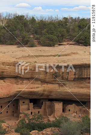 メサ・ヴェルデ国立公園 11915678