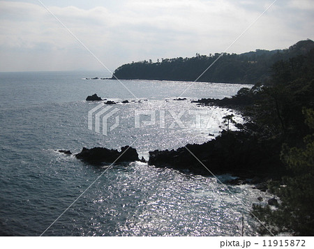 相模湾 相模湾 11915872