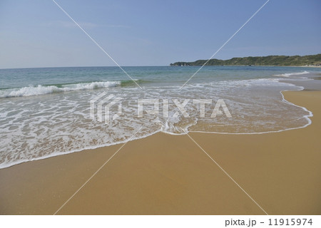 琴ヶ浜（日本海） 11915974