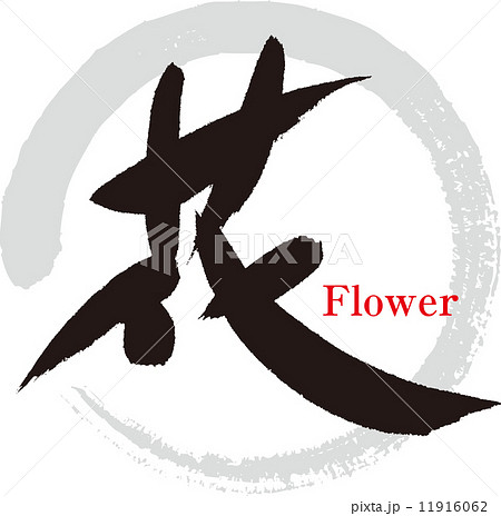 花 11916062