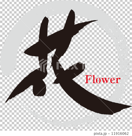 花 11916062