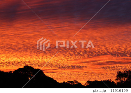 オレンジ色の夕日 11916199