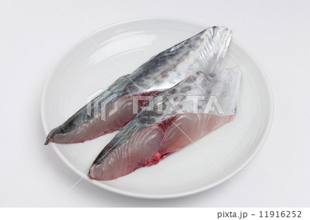 サワラの切り身 サワラの切り身 11916252