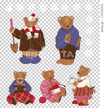 Cute bear 11916351