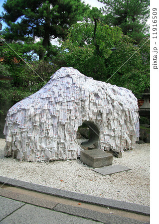 安井金毘羅宮 11916509