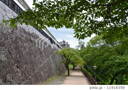 熊本城の長大な石垣と未申櫓 熊本城の長大な石垣と未申櫓 11916590