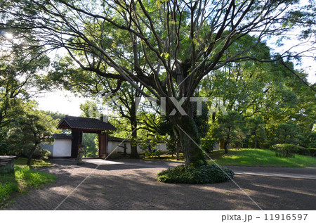 熊本城の一角にある静かな旧細川刑部邸 11916597