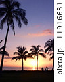 Sunset in Hawaii  11916631