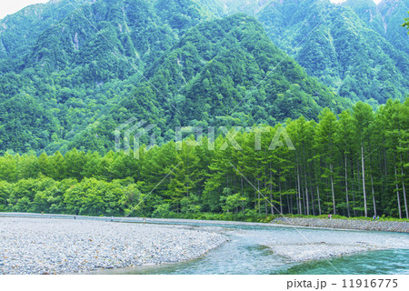 雄大な上高地 11916775