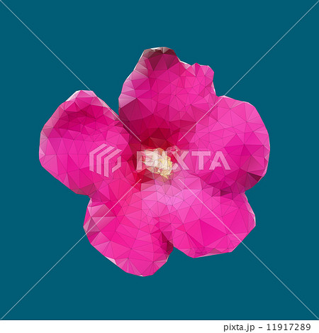 Rose of Sharon's pollen,Polygonal vector. Rose of Sharon's pollen,Polygonal vector. 11917289