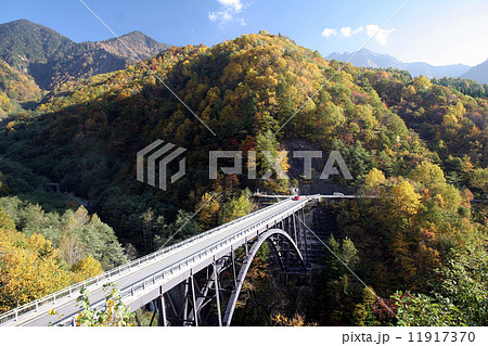 北アルプス大橋の紅葉 11917370