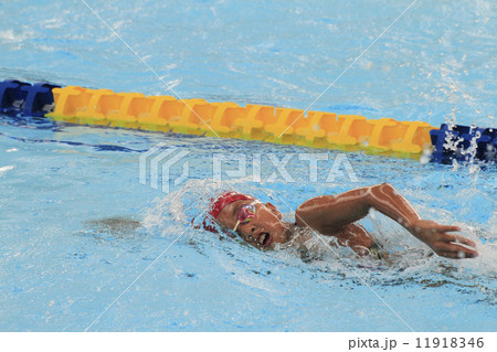 クロールの写真素材 [11918346] PIXTA