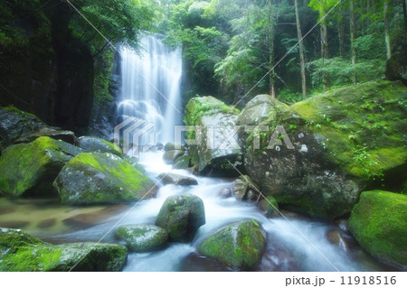和歌山県新宮市相賀 桑の木の滝 和歌山県新宮市相賀 桑の木の滝 11918516