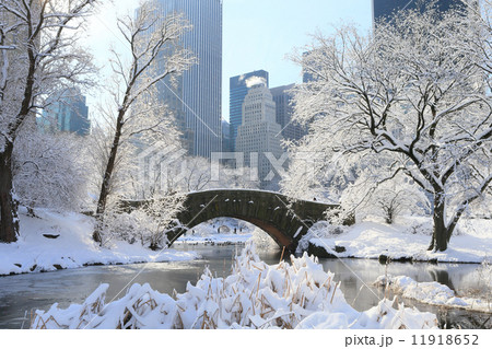 セントラルパーク 雪景色 南向き 遠景 セントラルパーク 雪景色 南向き 遠景 11918652