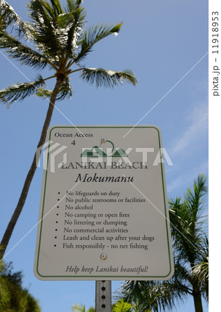 アメリカ　ハワイ　ラニカイビーチ 11918953