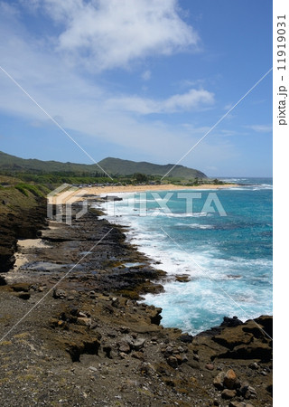 アメリカ　ハワイ　ラニカイ 11919031