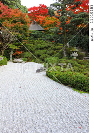 晩秋の金福寺 晩秋の金福寺 11919165