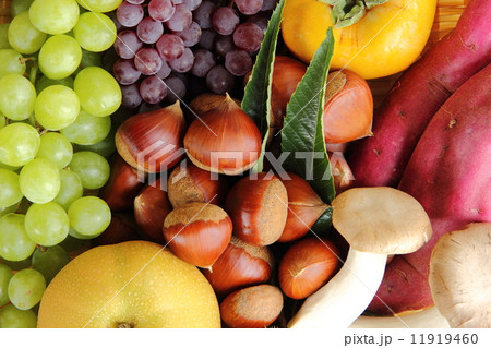 秋の味覚 11919460