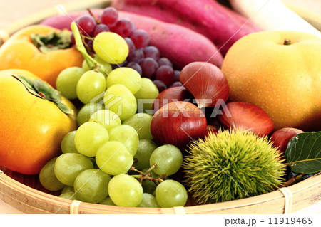 秋の味覚 11919465