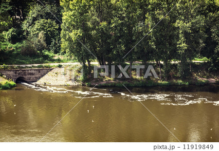 Water pollution in river Water pollution in river 11919849