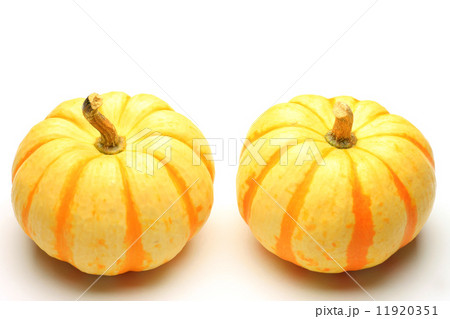 ミニカボチャ 11920351