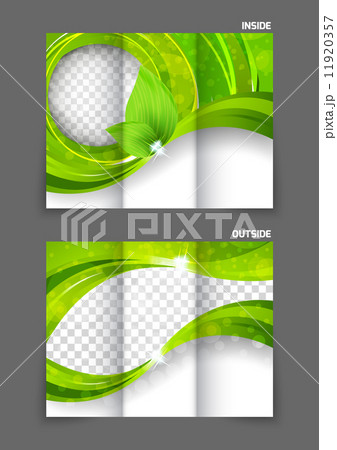 tri-fold brochure tri-fold brochure 11920357