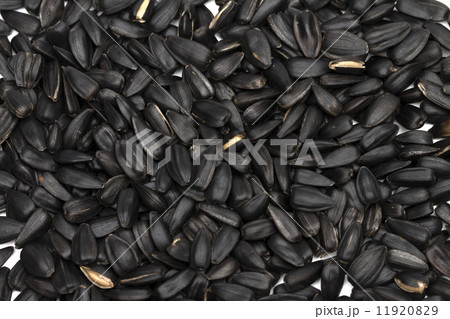 seeds on the white background 11920829