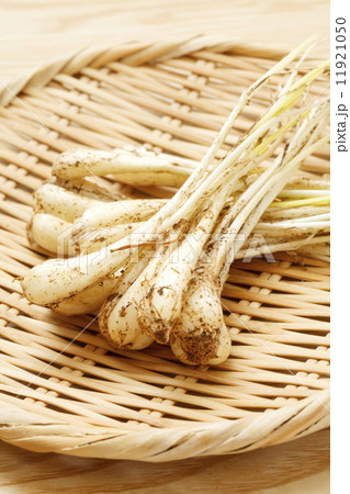 島らっきょう 11921050