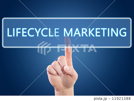 Lifecycle Marketing 11921388