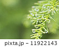 雫 11922143