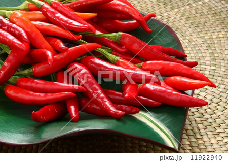 唐辛子　鷹の爪　香辛料 11922940