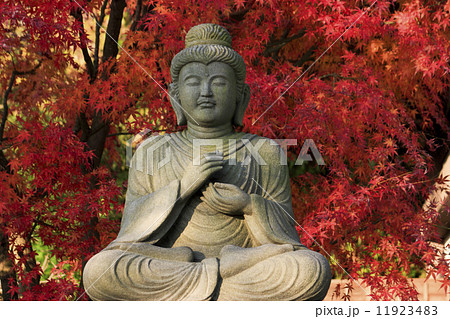 長谷寺の紅葉 長谷寺の紅葉 11923483