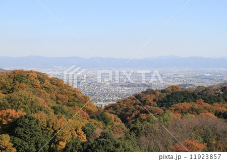 朝護孫子寺 11923857