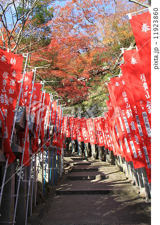 朝護孫子寺 朝護孫子寺 11923860