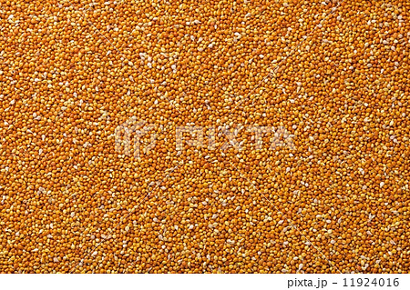 皮つき赤あわ（玄アワ） 11924016