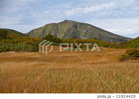 鳥海山・秋の湿原 鳥海山・秋の湿原 11924420