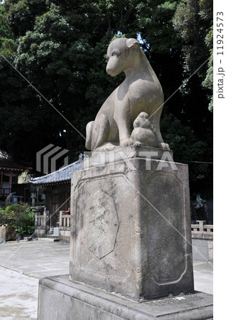 目黒不動尊　　吽行狛犬 11924573
