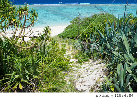沖縄の海・水納島 11924584