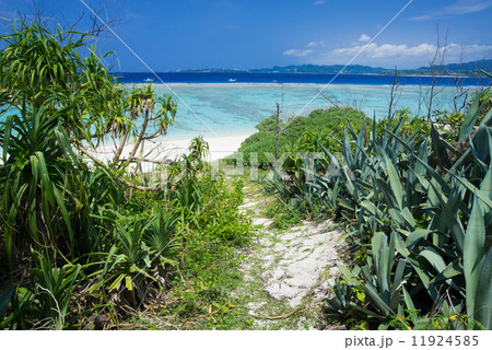 沖縄の海・水納島 11924585