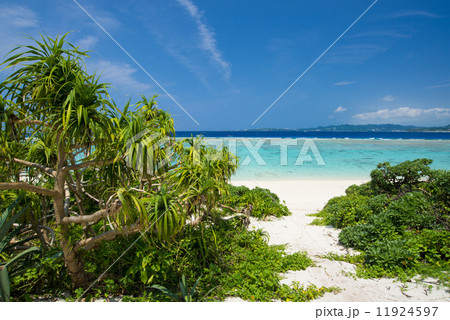 沖縄の海・水納島 沖縄の海・水納島 11924597