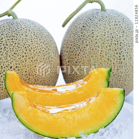 夕張メロン 夕張メロン 11924856