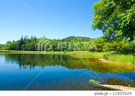 夏のチミケップ湖　（津別町） 11925024