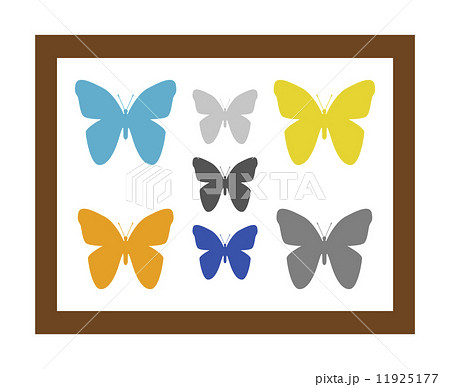 チョウの標本のイラスト素材 11925177 Pixta