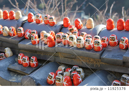 勝ダルマ 11925376