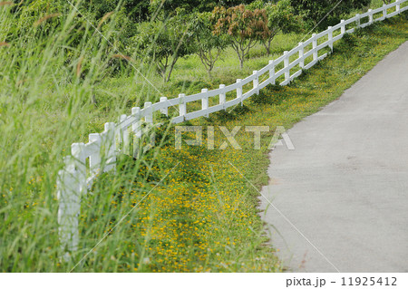 white fence in the green garden 11925412