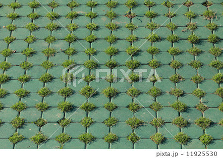 design of floor with use cement and grass design of floor with use cement and grass 11925530