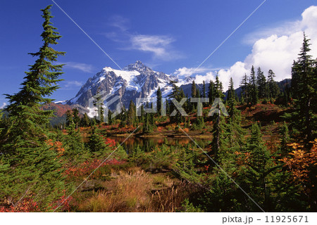 Mount Shucksan in the North Cascade Range of mountains in autumn.  11925671